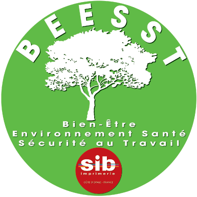 BEESST : Bien-Être Environnement Santé Sécurité au Travail